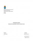 Elaboración de Juego Didáctico referente al Sistema Urinario