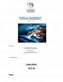 PFM-EL INTERNET MATEMATICA