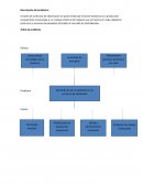 Técnica de observación estudio de mercado