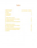 PROYECTO INTEGRADOR Sigma Alimentos S.A.