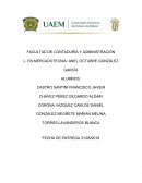 Resumen ejecutivo Fraccionamiento