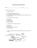 Interrogación de Ciencias Naturales 5º básico s/r