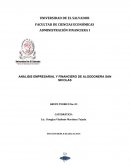ANÁLISIS EMPRESARIAL Y FINANCIERO DE ALGODONERA SAN NICOLAS