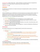 Neuronas borrador de la neuronas