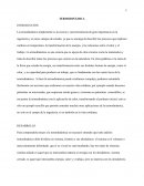 TERMODINÁMICA TRABAJO