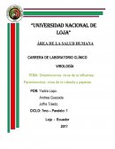 Ortomixovirus: virus de la influenza; Paramixovirus: virus de la rubeola y paperas