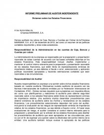 INFORME PRELIMINAR DE AUDITOR INDEPENDIENTE. Página 1