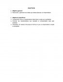 CARACTERISTICAS DE UN EMPRENDEDOR