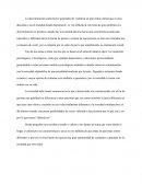 Saludo presentacion
