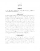 El manejo de las ratas blancas dentro del laboratorio