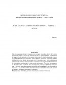 HACIA UNA NUEVA GERENCIA DE MERCADEO EN LA VENEZUELA ACTUAL