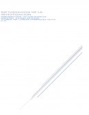 LA INSEGURIDAD CIUDADANA