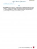 SEMIOLOGÍA DEL APARATO RESPIRATORIO