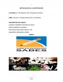 CAUSAS Y CONSECUENCIAS DE LAS DROGAS