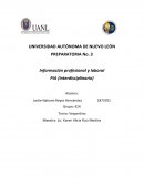 Información profesional y laboral PIA (interdisciplinario)