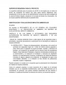 IDENTIFICACIÓN Y EVALUACIÓN DE IMPACTOS AMBIENTALES