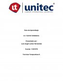 Guia de Aprendizaje Tecnicas Terapeuticas II.