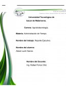 Reporte Ejecutivo. Administración de Tiempo.