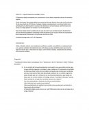 El procedimiento de auditoria