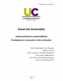 Justicia ambiental y sustentabilidad. Finalidades de la educación y ética ambiental