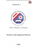 Práctica Capacidades Comunicativas