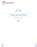 Análisis del caso quemados: Rodrigo Rojas de Negri, la dictadura militar y la búsqueda de justicia
