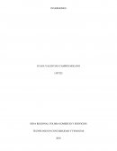 Entregable Teorico (Inversiones)