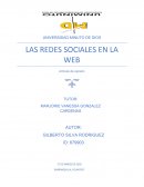 LAS REDES SOCIALES EN LA WEB