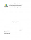 Informe acoso laboral