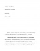 Control 6, Administración de la Producción