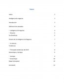 Inteligencia de negocios - ensayo