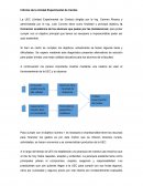 Informe de la Unidad Experimental de Cerdos