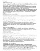 DALLURA TEORIAS SOBRE EL APJE