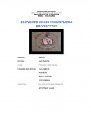 PROYECTO SOCIOCOMUNITARIO PRODUCTIVO