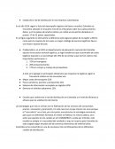 Estado de la red de distribución en las empresas colombianas