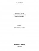 LA PUBLICIDAD UNIVERSIDAD DE PAMPLONA