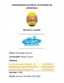 Informe ACOES Lic, Roque Castro