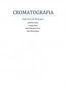 Cromatografia. Informe de Biología