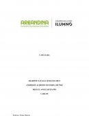 PROGRAMA DE ADMINISTRACION DE EMPRESAS PROSPECTIVA Y ESTRATEGIA