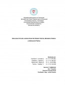 Organigrama Tribunales Penales del Estado Tachira