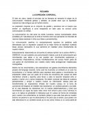 EXPRESIÓN CORPORAL Y MOVIMIENTO.