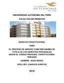 El proceso de amparo como mecanismo de la tutela de derechos procesales