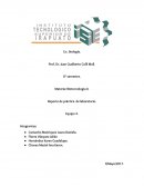 Reporte de práctica de laboratorio.