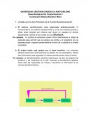 Bases Biológicas Del Comportamiento II