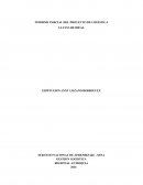 INFORME PARCIAL DEL PROYECTO DE LOGÍSTICA, LLUVIA DE IDEAS