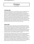 Ensayo ¿El universo es infinito?