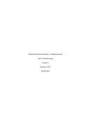 Sistema de de remuneraciones y compensaciones