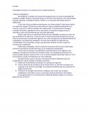 Actividades primarias y su incidencia con el medio ambiente