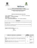 Actividades ludicas para niños