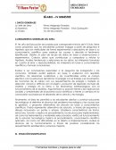 LINEAMIENTOS GENERALES DEL AREA: